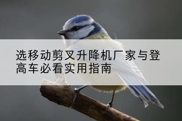 涉县电动升降机厂家-选移动剪叉升降机厂家与登高车必看实用指南