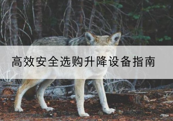 涉县升降货梯厂家推荐-*安全选购升降设备指南