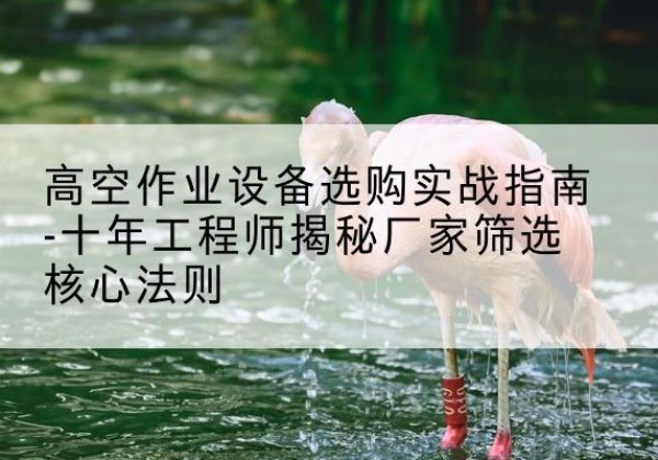 涉县剪叉式升降机厂家-高空作业设备选购实战指南-十年工程师揭秘厂家筛选核心法则